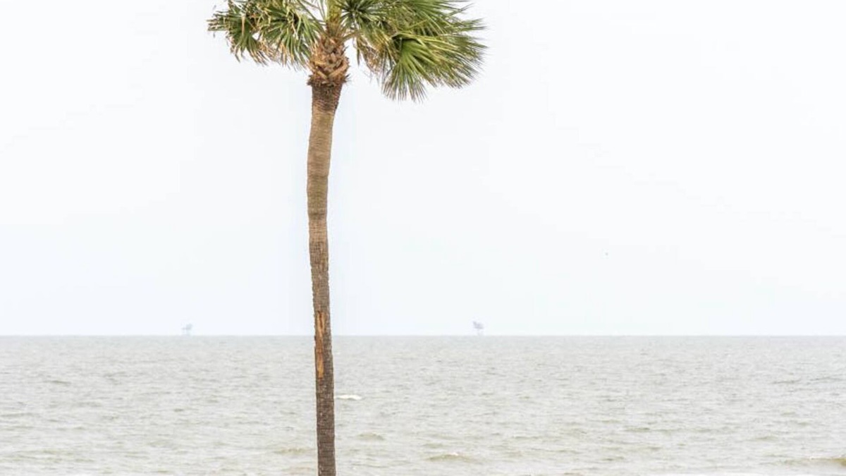 Galveston Condo | Get Sea Inspired-Beach Views/Full Kitchen