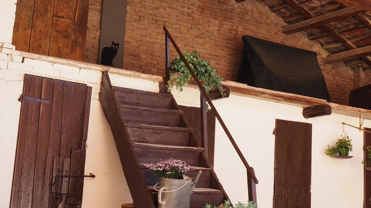 Forli Bed & Breakfast | Giardino 34