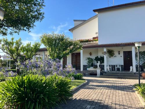 Zona XLV Castel di Guido Bed & Breakfast | Giardino Degli Aranci B&B
