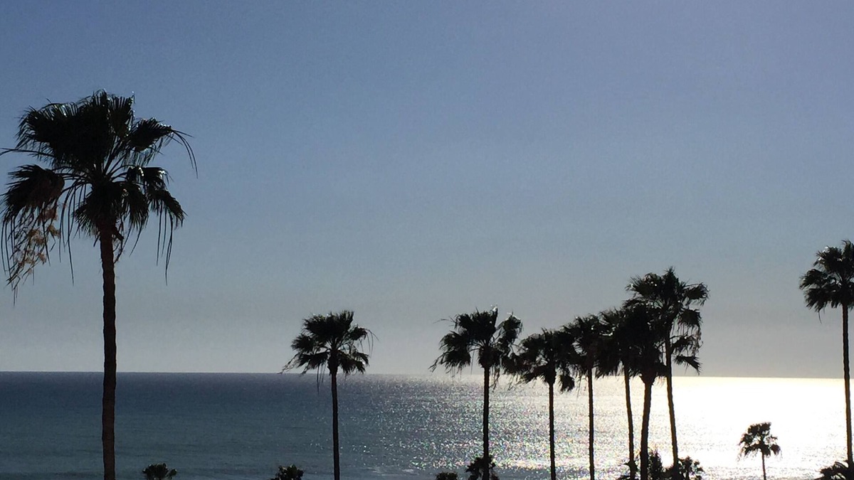 Las Gaviotas House | Gigantic House-Great for Familes, Friends, Couples-Ocean Views-Steps to beach