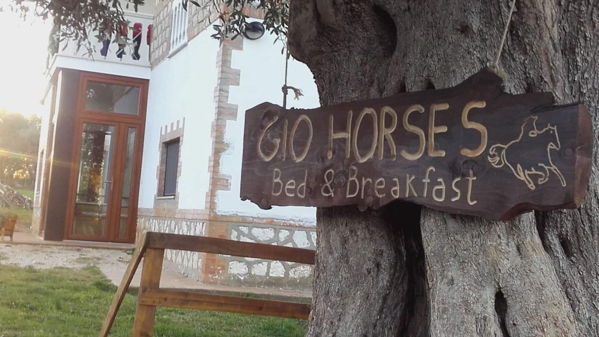 San Nicandro Garganico Bed & Breakfast | Gio Horses B&B located in the Gargano National Park between sea, lakes and woods.