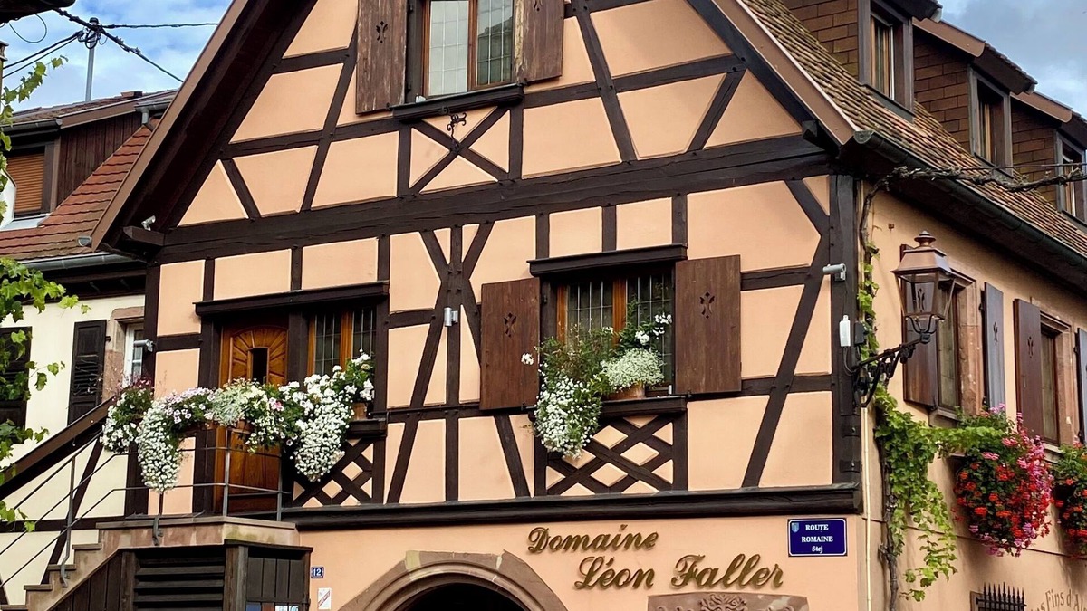 Itterswiller Apartment | GITE 3* ITTERSWILLER SUR LA ROUTE DES VINS D'ALSACE Swimming pool in 2026