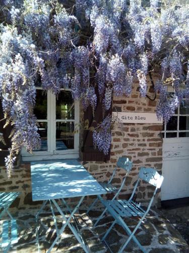 Menil-Vin House | Gite Bleu