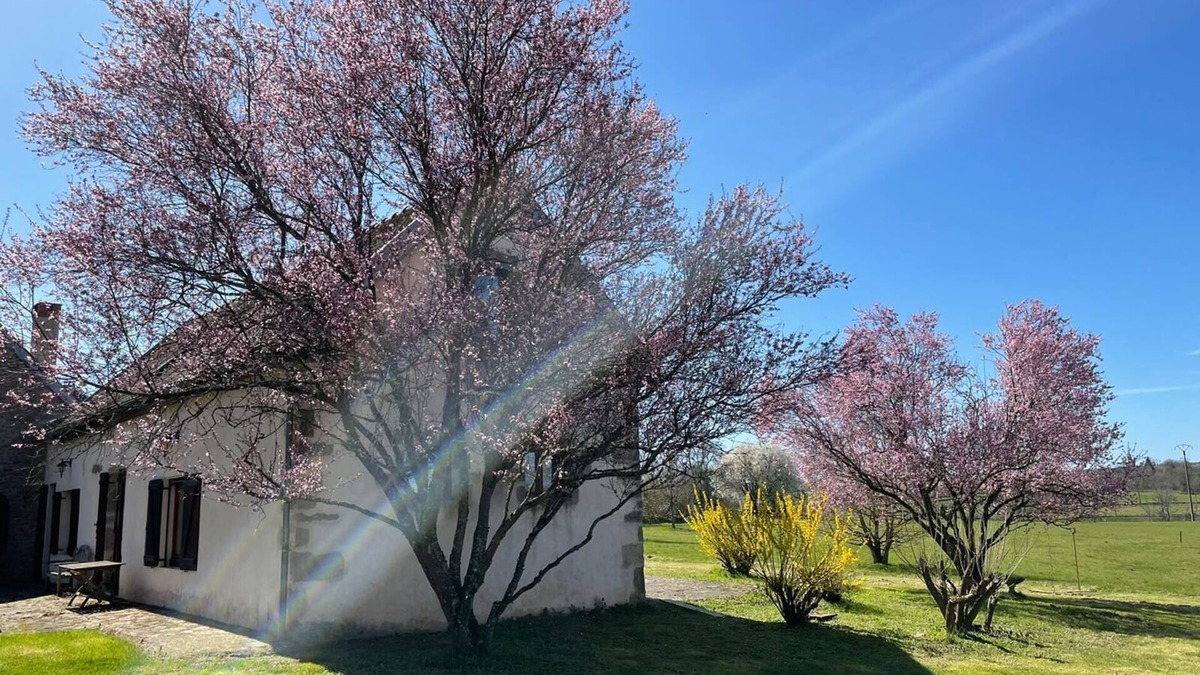 Diancey House | Gîte de la fontaine salée, a haven of peace in the heart of the Auxois meadows.