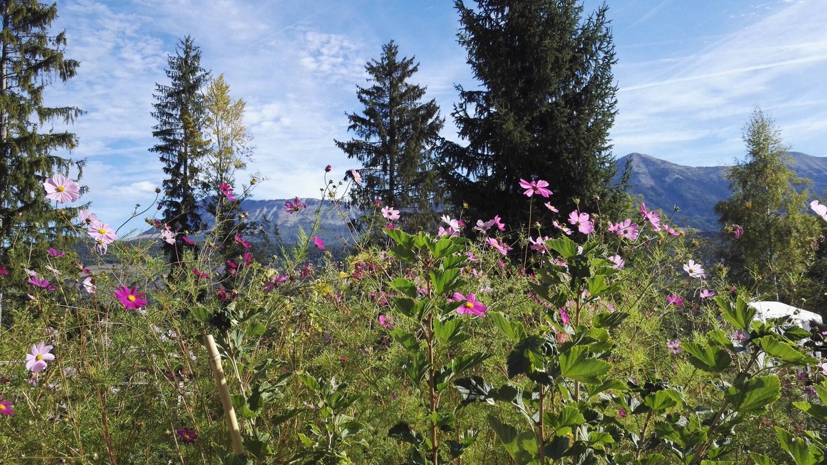 Seyne Cottage | Gîte for up to 12 people in the heart of nature