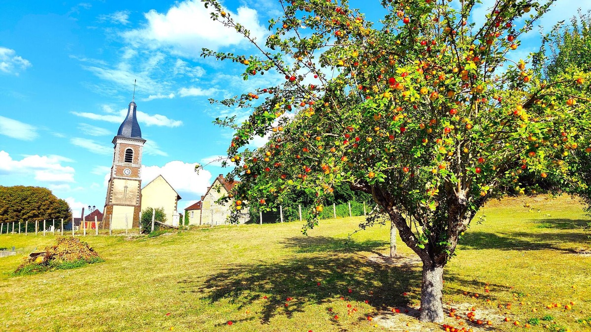 Merry-la-Vallee Cottage | Gite Grand Confort