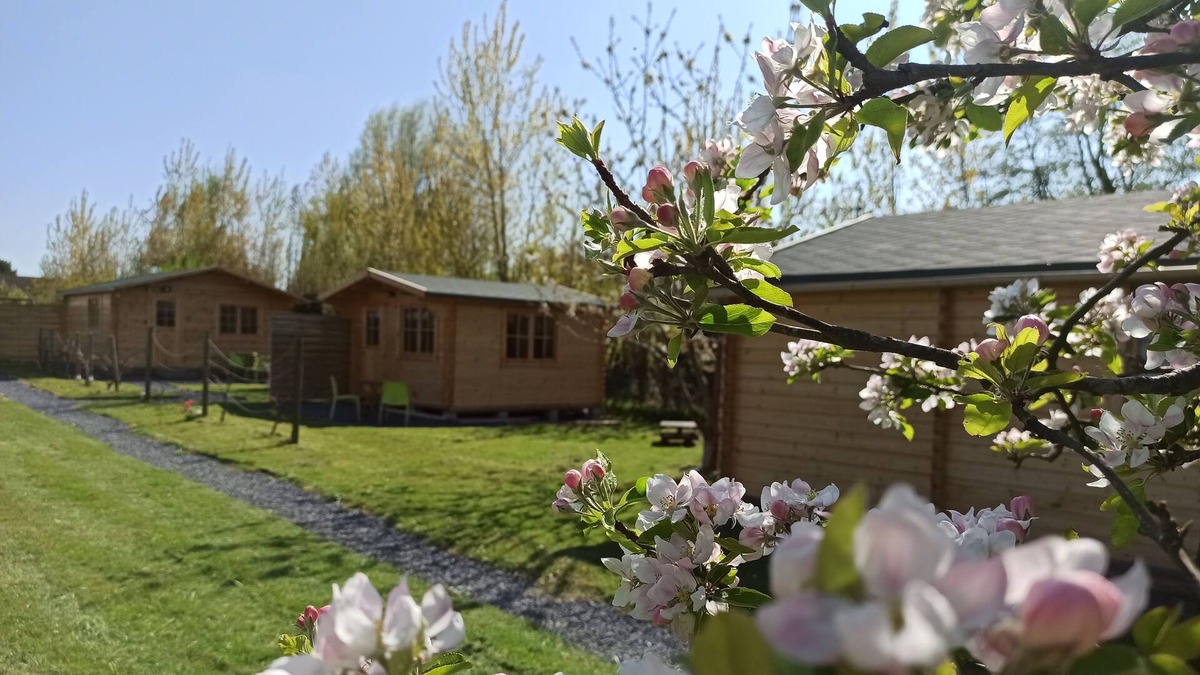 Verton Ski Chalet | GITE LES CHALETS DU FLIERS BETWEEN SEA AND COUNTRYSIDE