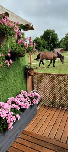 Malleville-sur-le-Bec House | Gite o vert