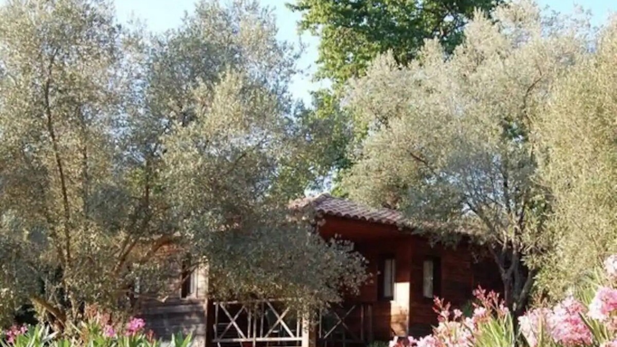 Grosseto-Prugna Ski Chalet | Gites 4/5 pers. in Grosseto-Prugna in Corsica between sea and mountains