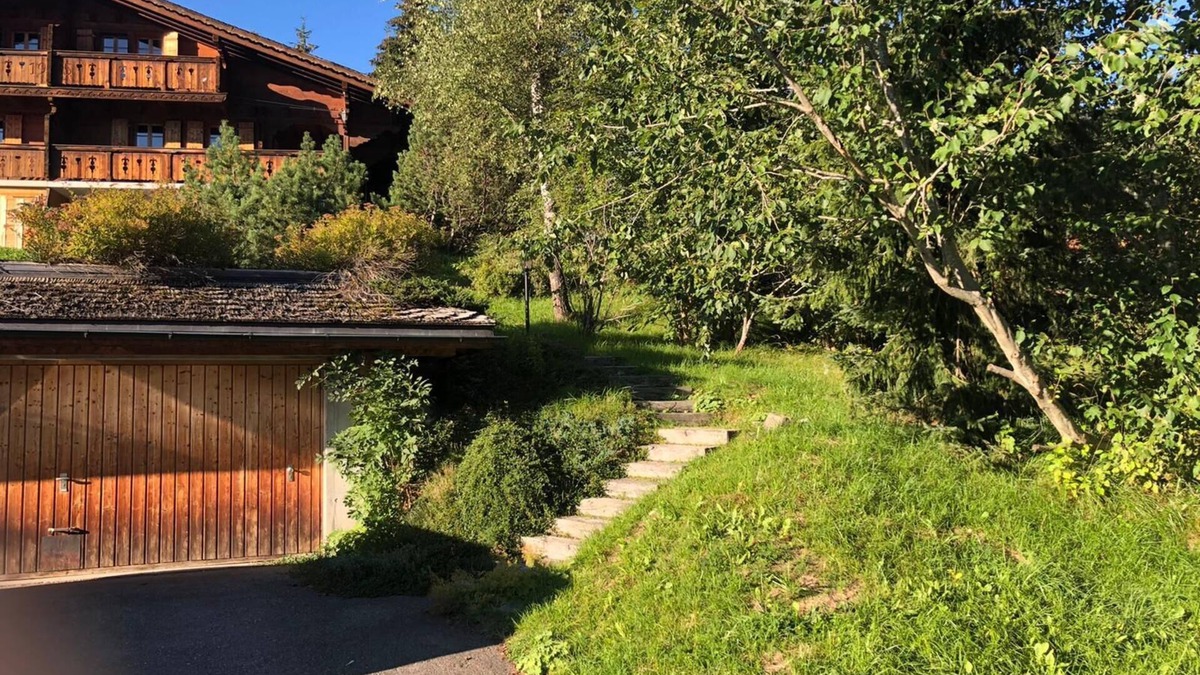 Ormont-Dessus Ski Chalet | Glacier Views, Sunny Chalet - Garden, Sleeps 6.