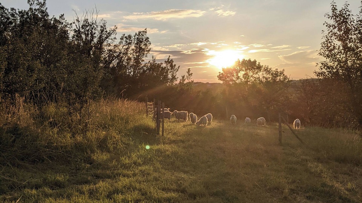 Laval House | Glamping by Horizon Mohair, Espace Valériana!