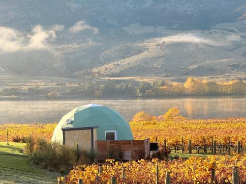 Mount Pisa Other | Glamping Dome - Rosé