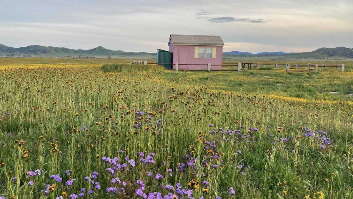 Santa Margarita Cabin | Glamping in the Carrizo Plains