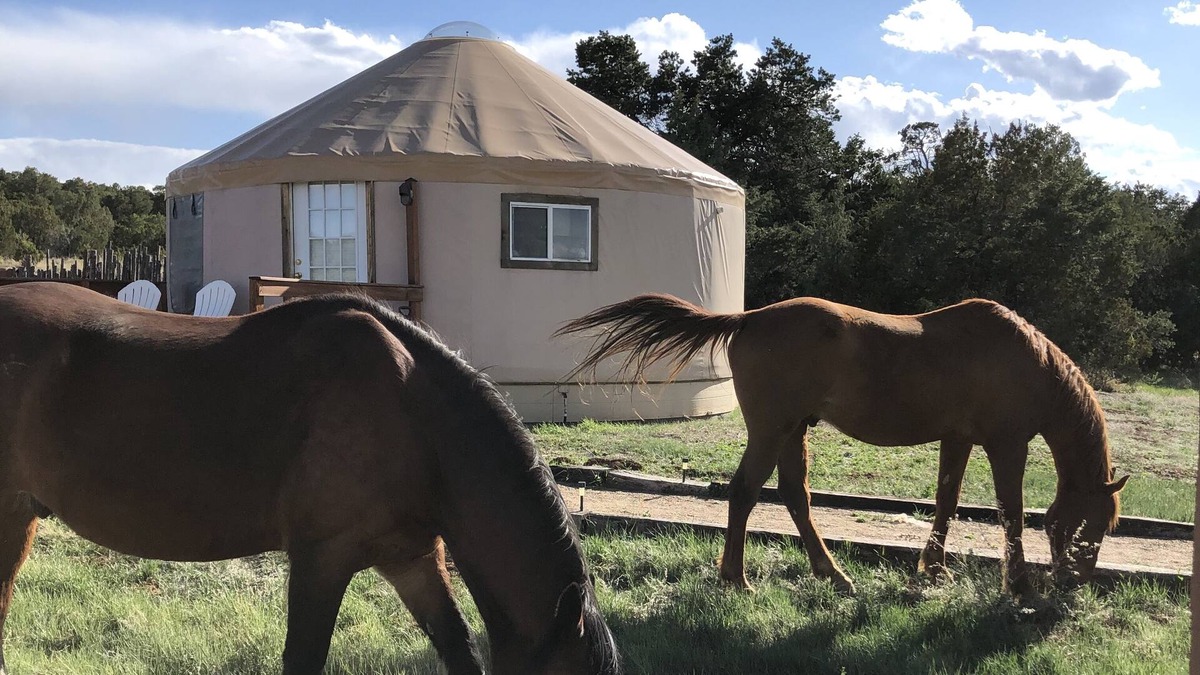 Edgewood Cabin | Glamping! Luxury Yurt enjoy the night sky & walking trail