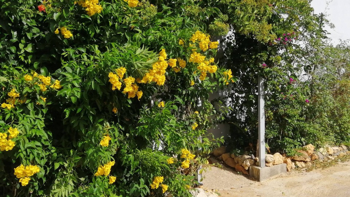 Silves House | Glamping Parque Retiro dos Sonhos