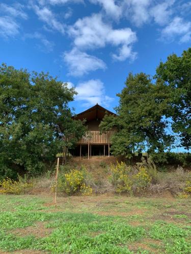 Magliano in Toscana Other | Glamping Podere Angiotto LODGE QUERCIA