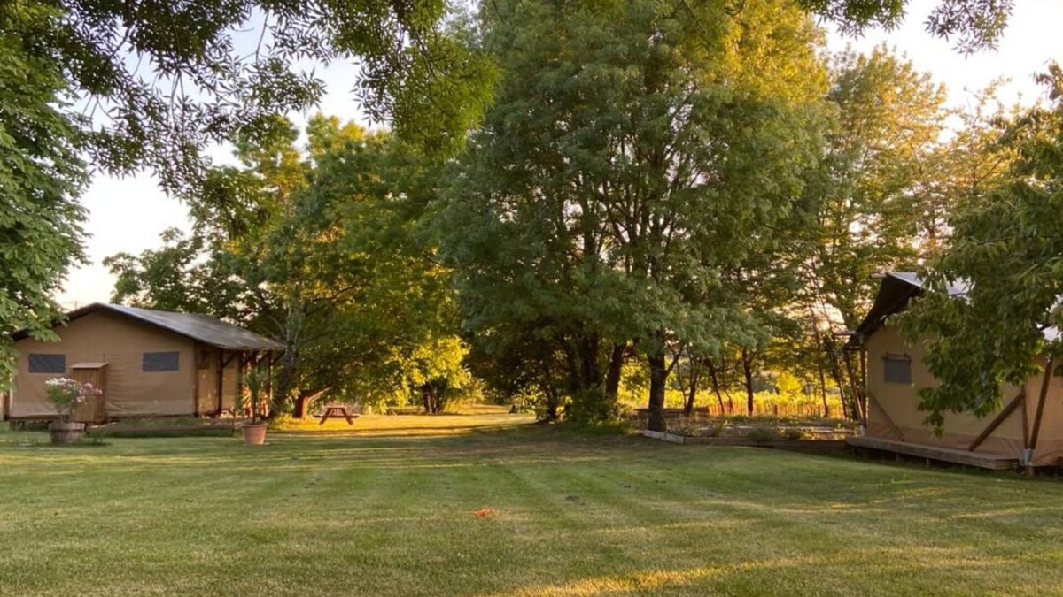 Chadenac Cabin | Glamping TENTE LODGE SAFARI DE LUXE, vue sur le coteau et vignes