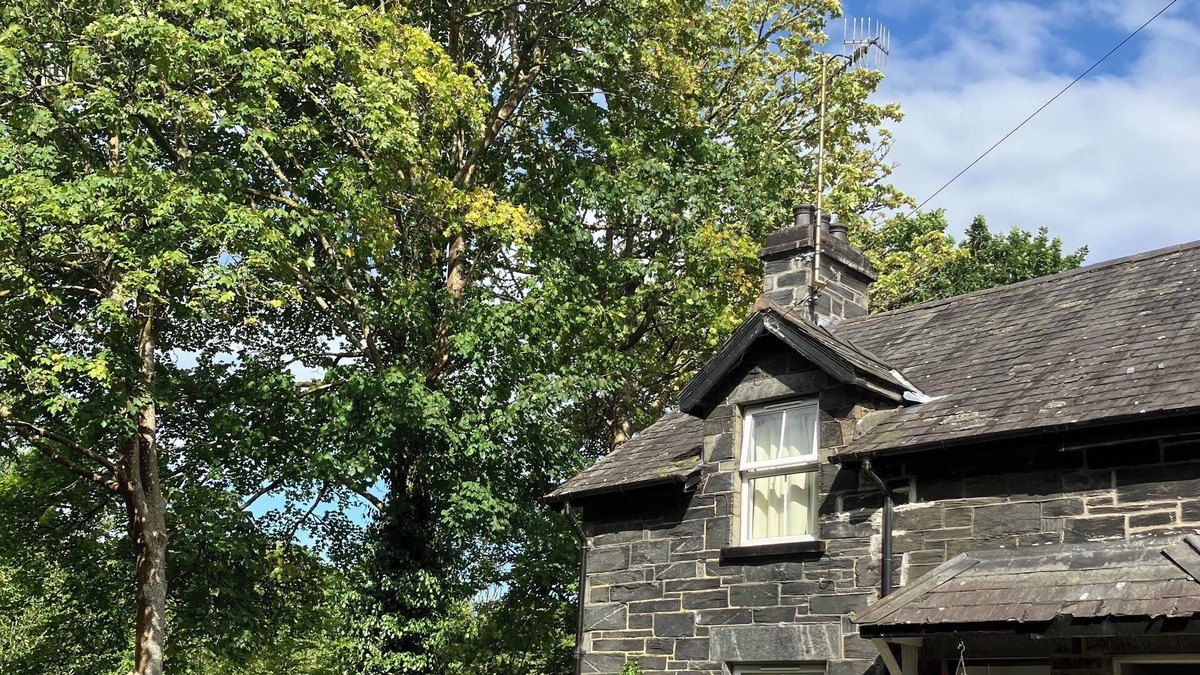 Gwynedd- Snowdonia Cottage | Glan Dulyn Riverside Holiday Cottage, Mill Street, Betws Y Coed ,Snowdonia