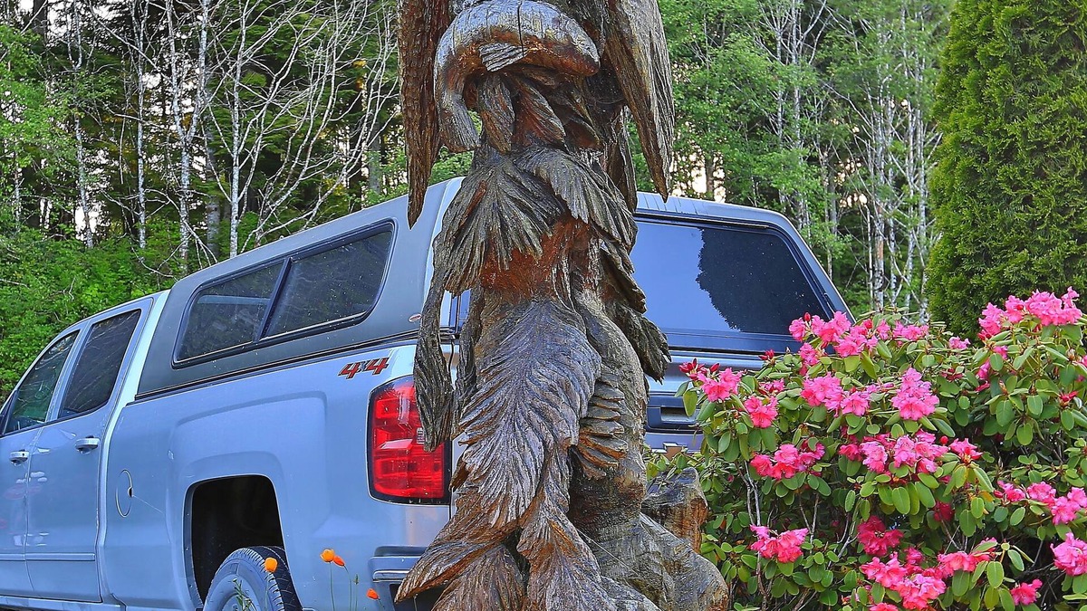 Port Hardy Hotel | Glen Lyon Inn & Suites