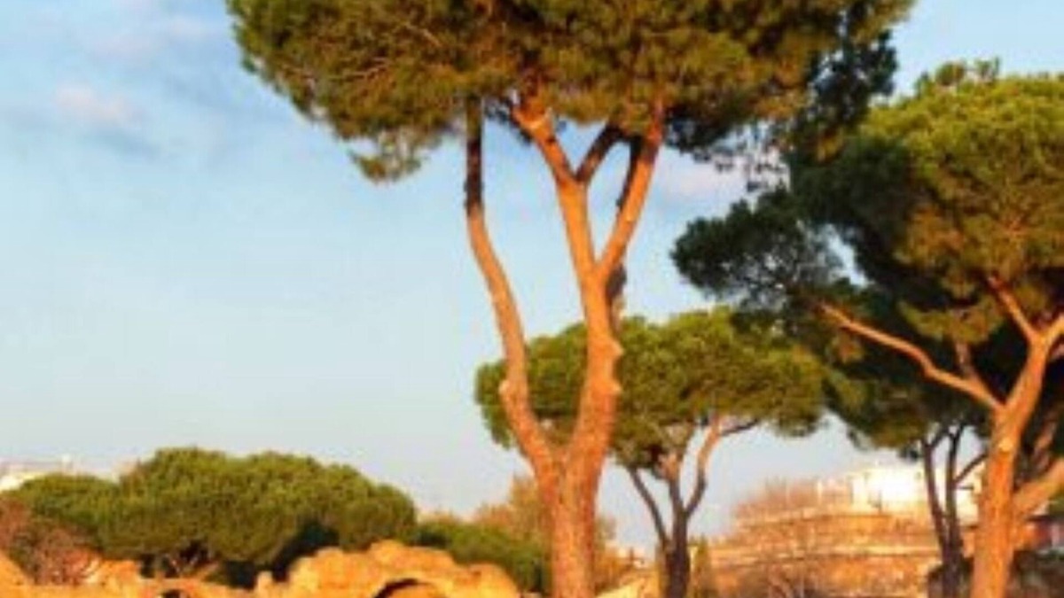 Universita Apartment | Glint House Apartment Piazzale delle Provincie