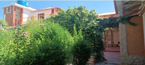 Ocosuyo Hotel | Gloria's HOME ISLA Amantaní