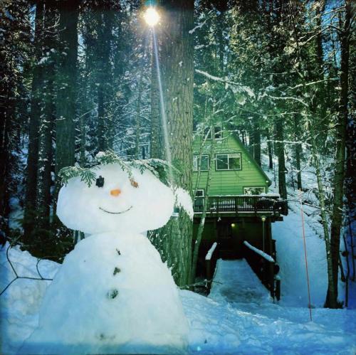 Camp Connell House | Glorious Summer at Cabin on the Creek