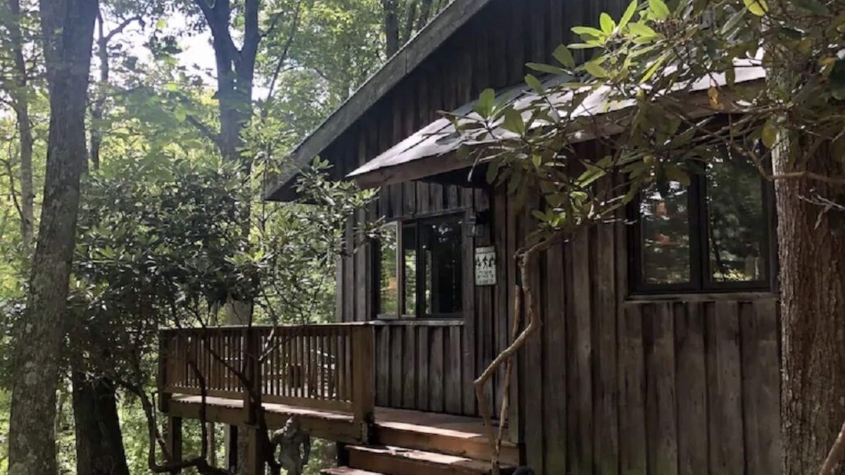 Copper Hill Cabin | Gobbler-Knob