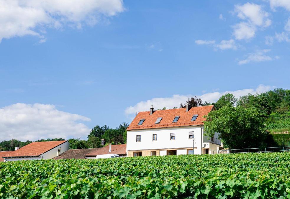 Krems an der Donau Apartment | Goldberg Appartement