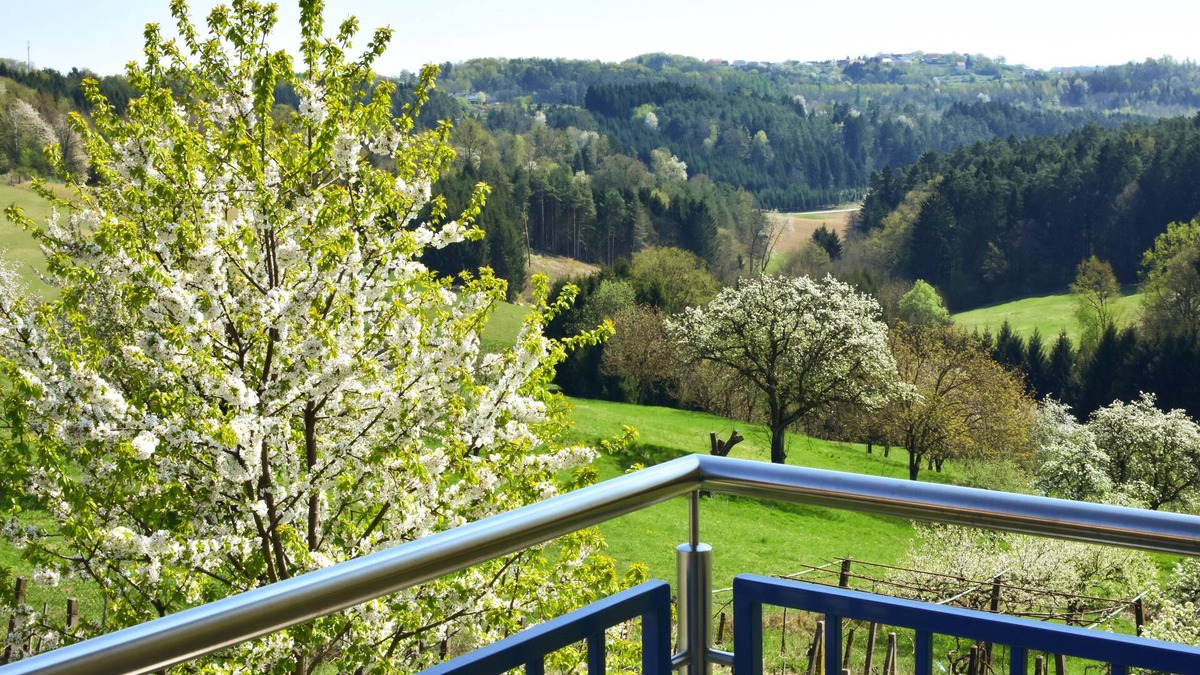 Burgauberg-Neudauberg House | Golf & Therme Sonnenpension Hotel Garni