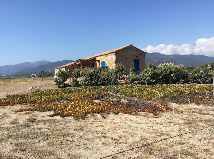 Casaglione House | Golfe de Sagone Plage du Liamone Maison pieds dans l'eau