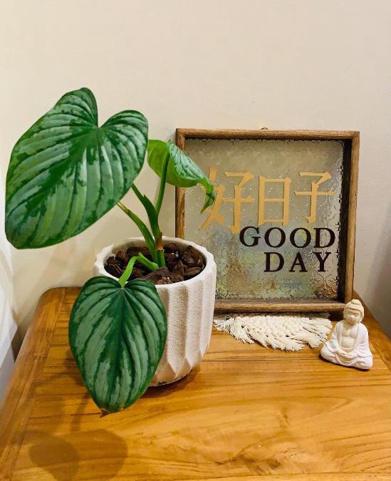 Yuli House | Good Days