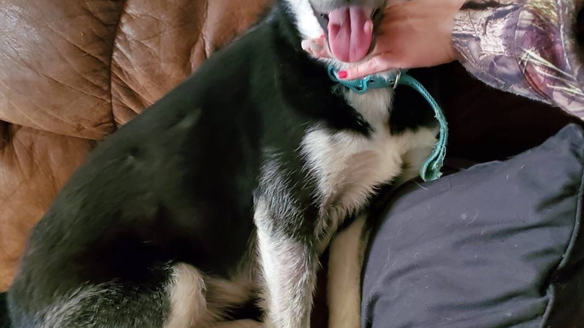 Richmond House | Good house