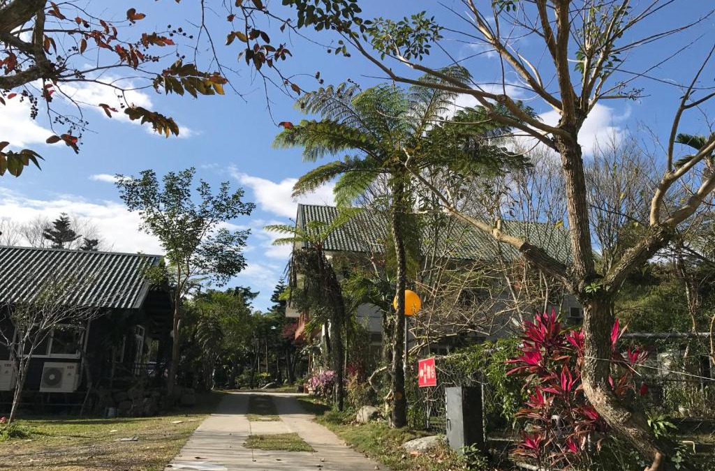 Luye House | Goose House