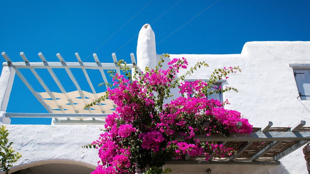 Drios Apartment | Gorgeous 2 bedroom apartment with sea views in Drios, near Golden Beach.