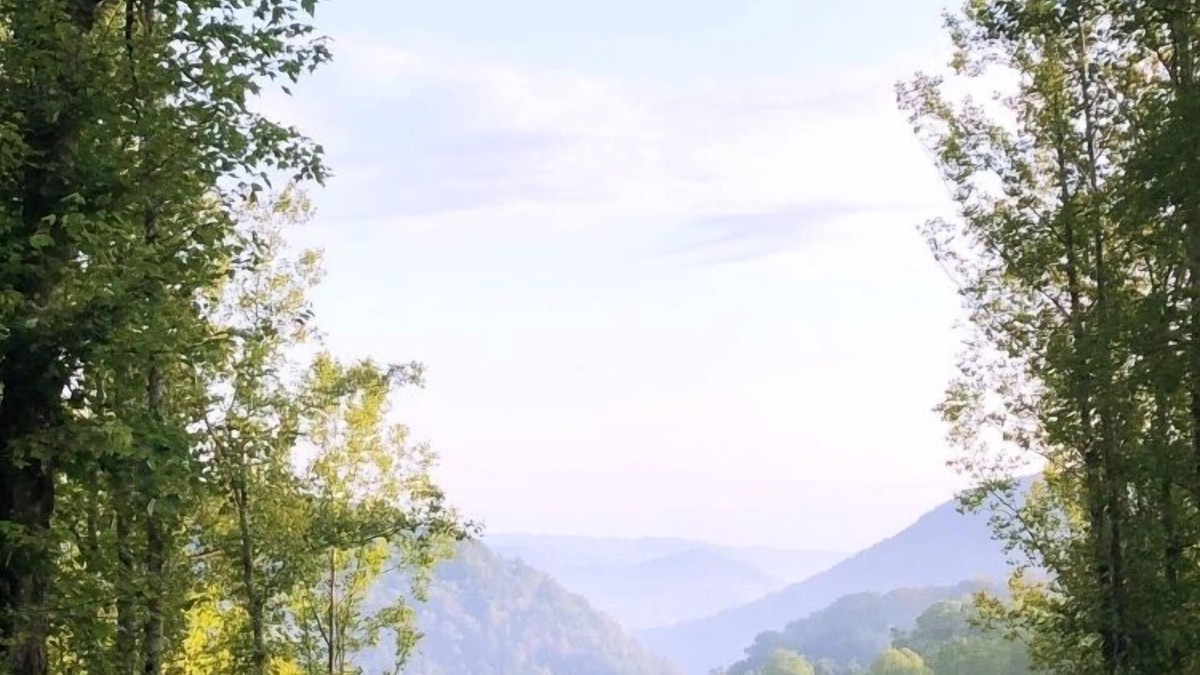 Roan Mountain House | Gorgeous Mountain View 8 miles from Appalachian Trail