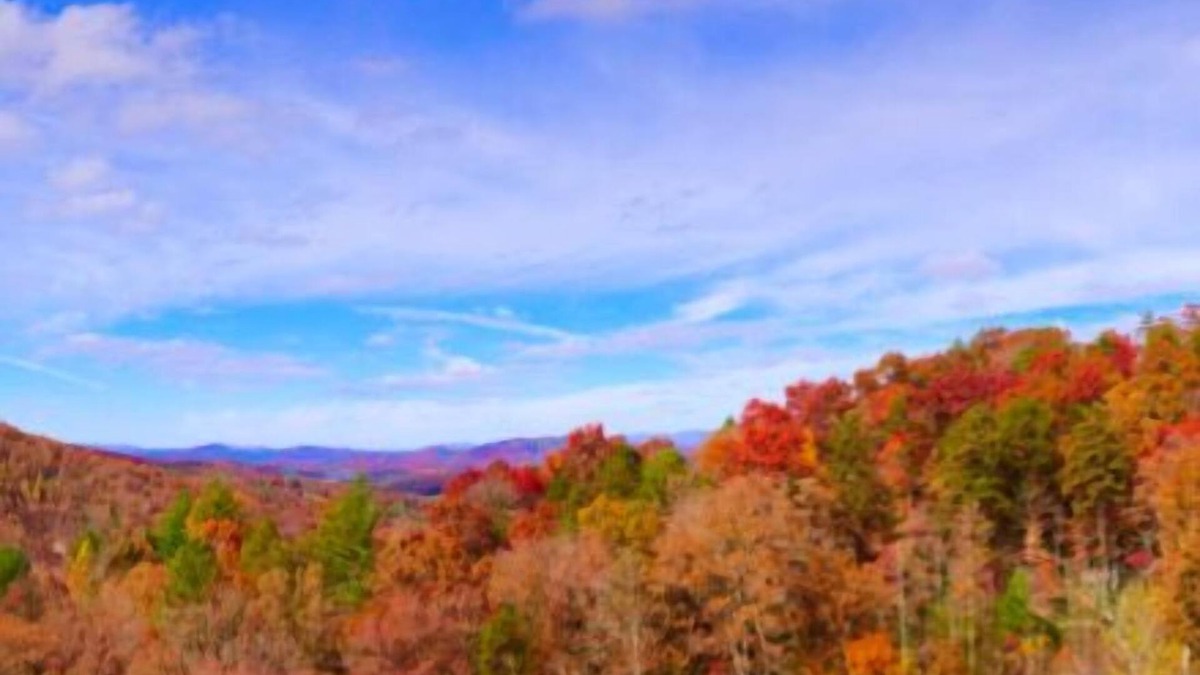 Brasstown Cabin | Gorgeous new cabin+long range views+hot tub+ fireplace+fire pit+near casino