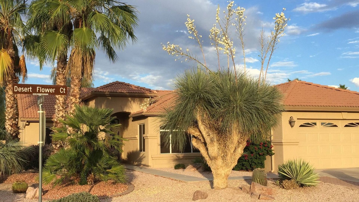 Oakwood House | Gorgeous Oakwood Vacation Home with Golf Cart! Spotless!