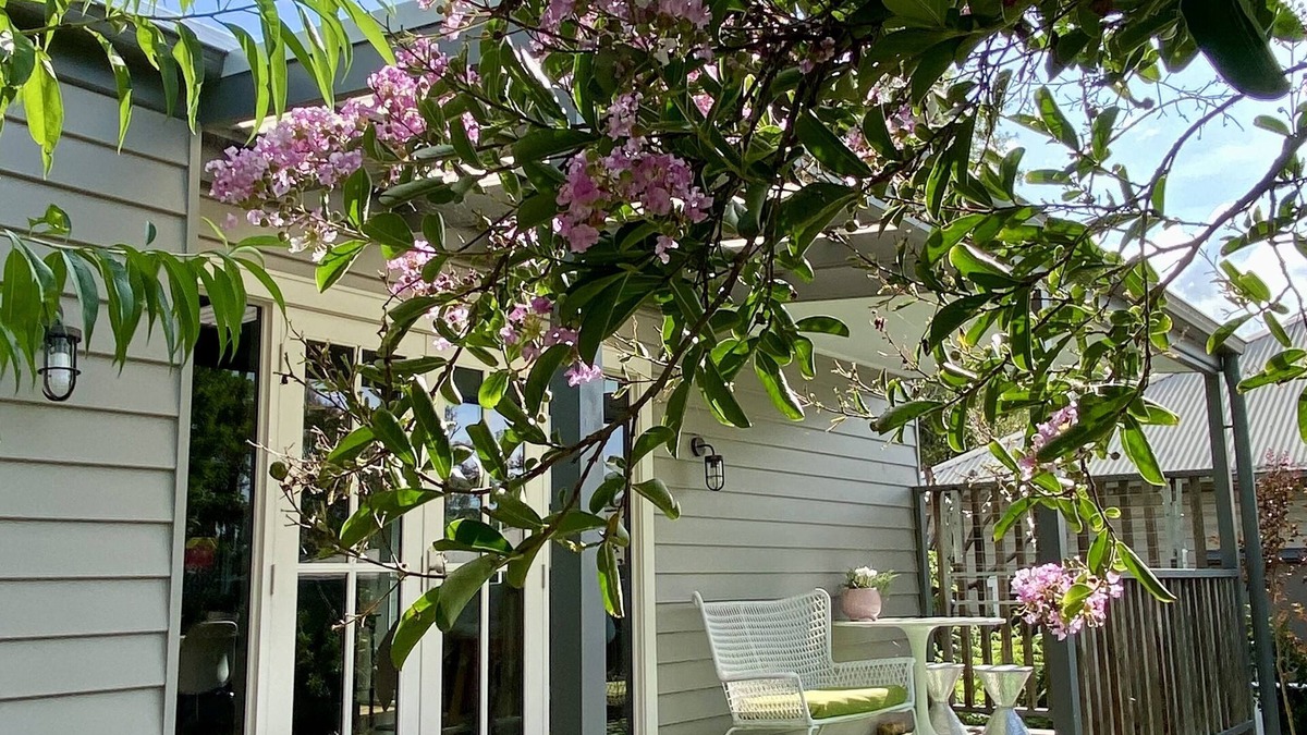 Berry House | Gorgeous Villa Starbright guesthouse opp Berry Showground in heart of town