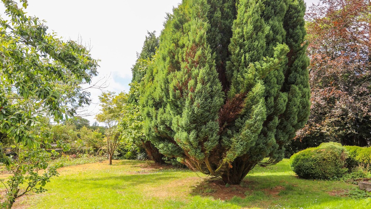 Moelfre Cottage | Gorwel