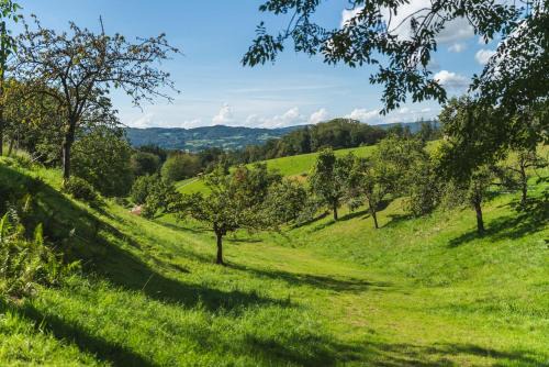 Rimbach Apartment | Grünewaldhof in Rimbach im Odenwald