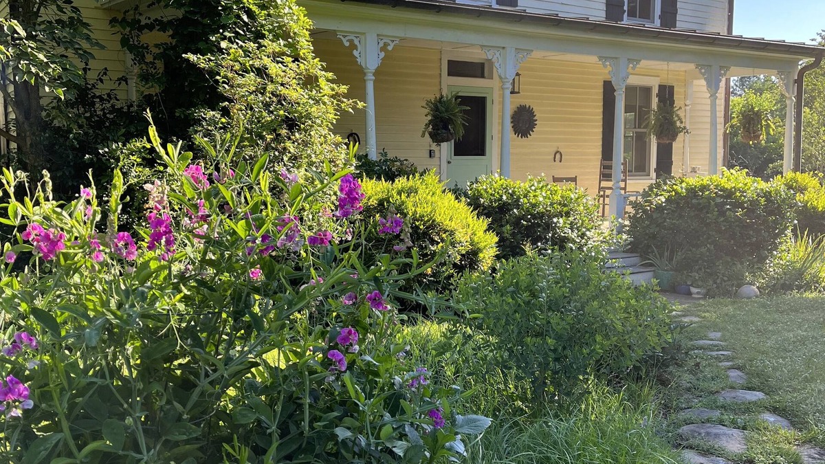 Wayland Park House | Gracious Elegance in Downtown