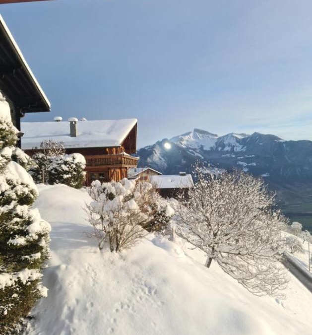 Torgon Apartment | Grand appartement atypique à la montagne avec vue unique