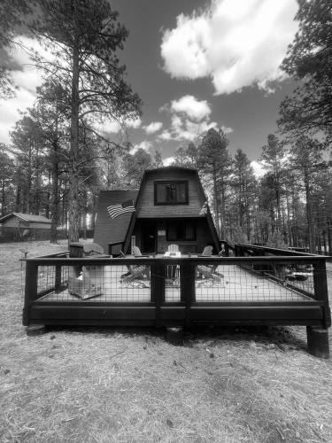 Williams House | Grand Canyon Cabin! One hour and 10 minutes to the South Entrance!
