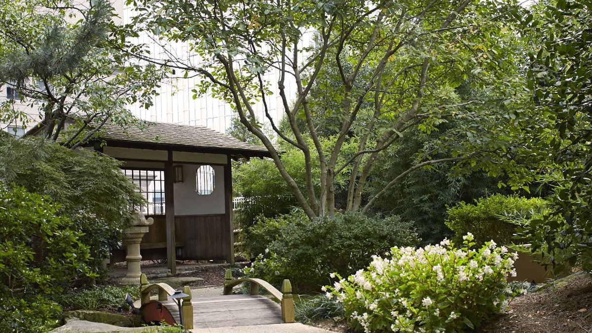 Peachtree Park Hotel | Grand Hyatt Atlanta in Buckhead