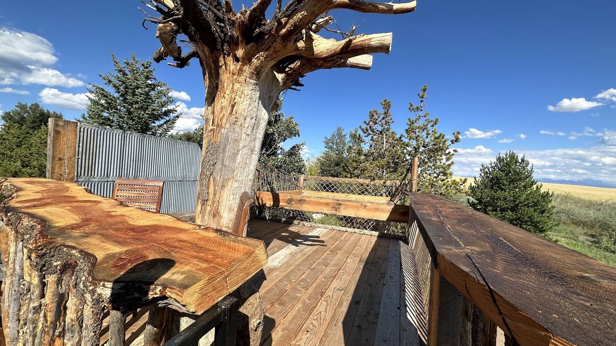 Ashton Cabin | Grandpa’s Cabin (EV Charging, eco & pet friendly), Grandpa’s Cabin (EV Charging, eco & pet friendly)