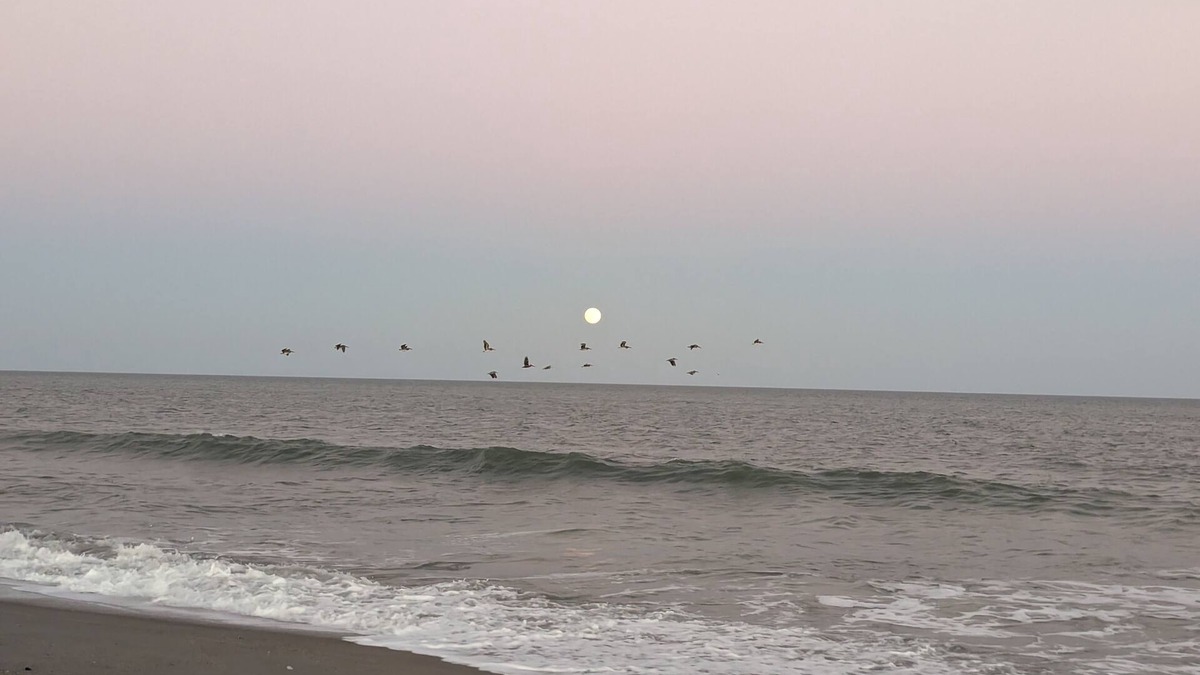 Surfside Beach House | Great Central Location Mid-Strand-2 pools-only15 Minutes to Beach/Attractions