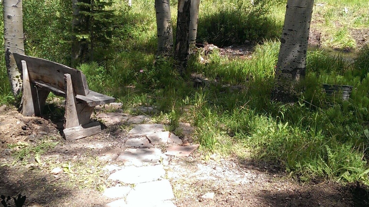 Albany Cabin | Great Summer Or Winter Vacation Get-Away For Snowmobling Or 4-Wheeling.