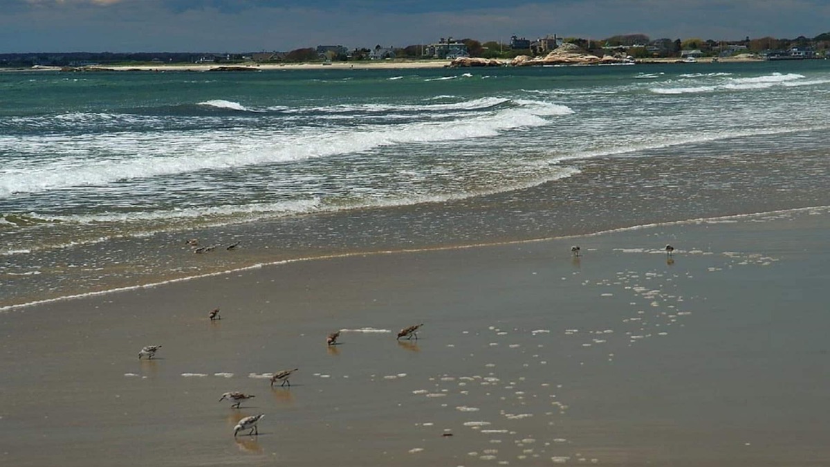 Adamsville House | Great weeks in Aug and Sept nLess than 5 min walk to beach at end of street