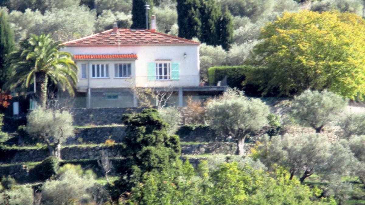 Fayence House | green cedar. a preservé environment