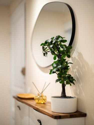 Villiers-sur-Marne Apartment | Green Dream Proximite Paris & Disneyland